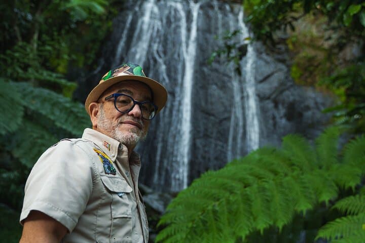 El Yunque Educational Rainforest Walk — Easy, Family-Friendly Guided Tour
