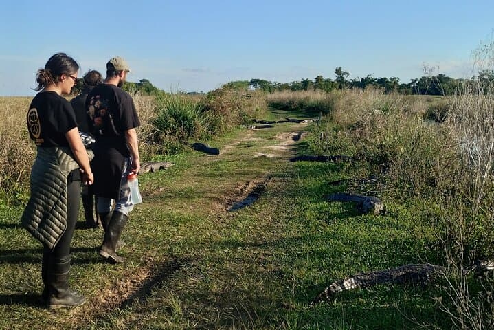 On-Foot Safari Through the Iberá Wetlands: Walk with Capybaras and Caimans photo 5