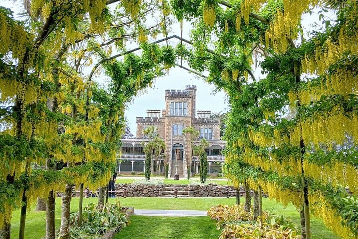 Dunedin Highlights: Otago Peninsula, Larnach Castle Gardens & Olveston Guided Shore Excursion