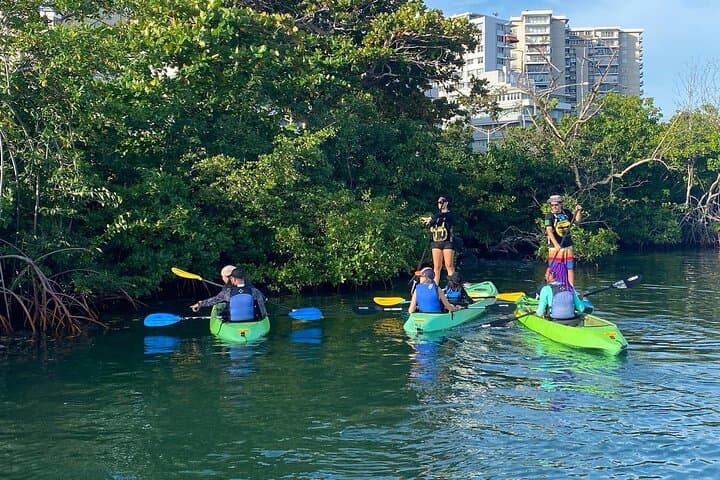 Sunrise Kayak Eco Adventure in San Juan's Condado Lagoon photo 1