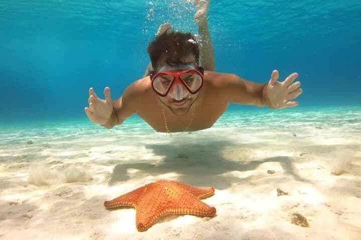 Cozumel Sky Ferry Snorkeling at El Cielo — Crystal Waters & Starfish