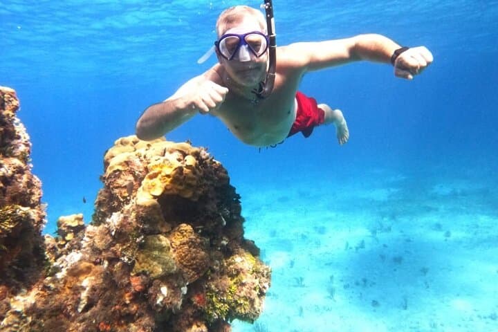 Cozumel Sky Ferry Snorkeling at El Cielo — Crystal Waters & Starfish photo 2