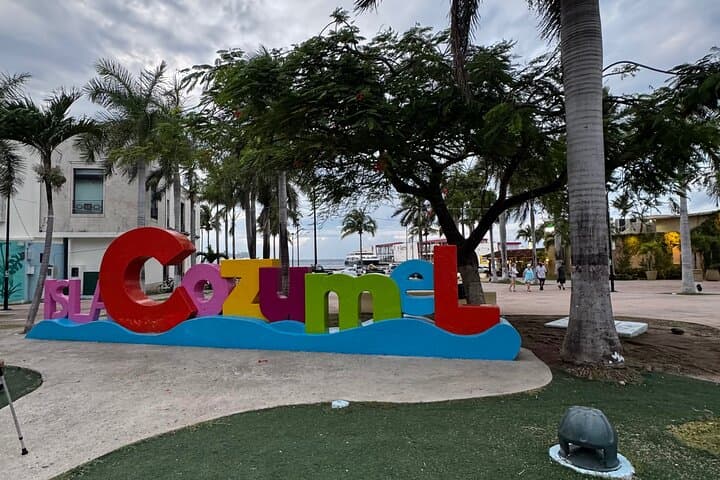 Cozumel Sky Ferry Snorkeling at El Cielo — Crystal Waters & Starfish photo 4