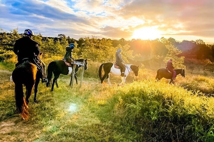 Hunter Valley Sunset Horse Ride — 90-Minute Twilight Trail Ride photo 3