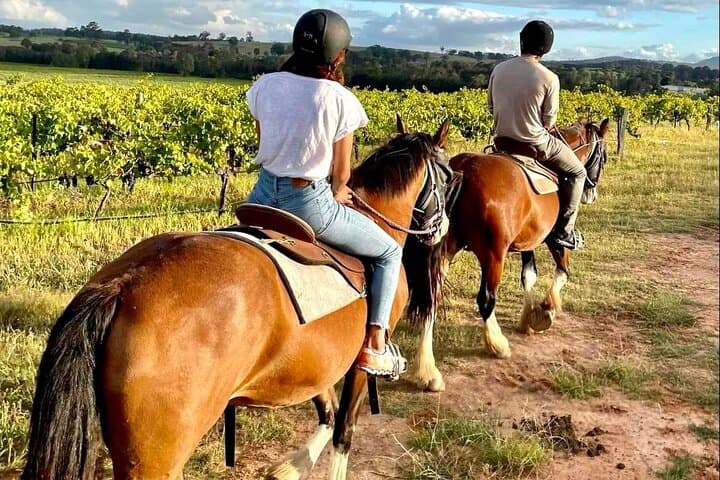Hunter Valley Sunset Horse Ride — 90-Minute Twilight Trail Ride photo 4