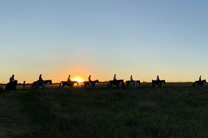Hunter Valley Sunset Horse Ride — 90-Minute Twilight Trail Ride photo 6