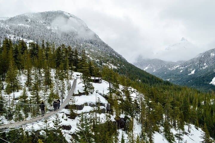 Gondola Snowshoeing & Winter Photography near Vancouver photo 5