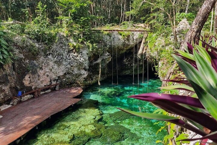Kaan Luum Lagoon & Tulum Cenotes: Swim Mariposa and Cavern Cenote with Mayan Ceremony photo 3