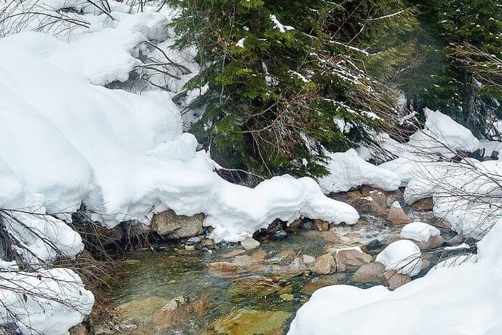 Gondola Snowshoeing & Winter Photography near Vancouver photo 2