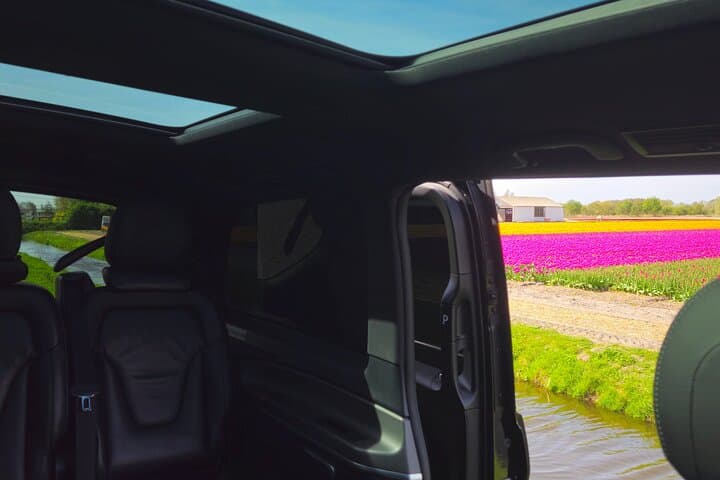 Quick Tulip Fields & Zaanse Schans: Private Schiphol Layover Tour photo 6
