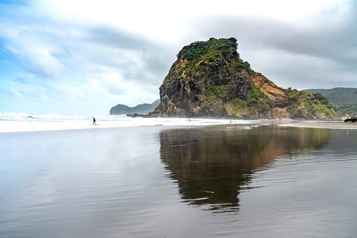 Explore Piha and the Waitākere Ranges: Half-Day Private West Coast Tour from Auckland photo 2