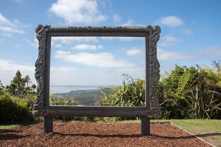Explore Piha and the Waitākere Ranges: Half-Day Private West Coast Tour from Auckland photo 3