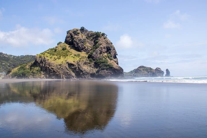 Explore Piha and the Waitākere Ranges: Half-Day Private West Coast Tour from Auckland photo 5