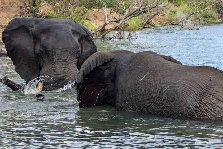 Upper Zambezi Half-Day Float: Wildlife Viewing & Island Lunch near Livingstone photo 6