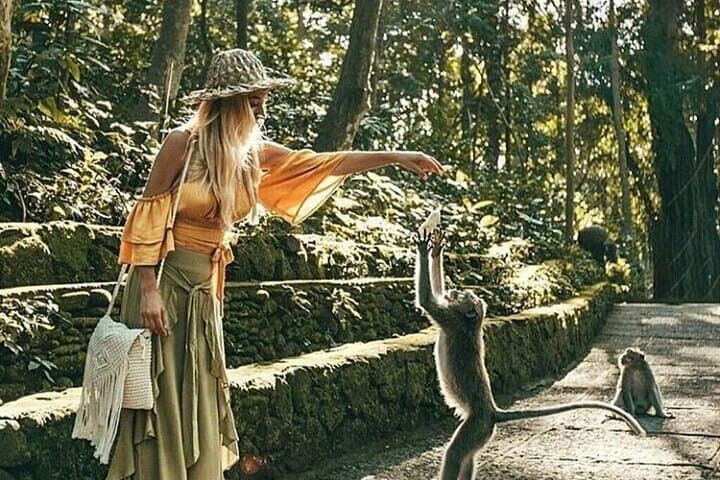 Ubud Nature Wonders: Private Day Tour to Monkey Forest, Rice Terraces & Tibumana Waterfall photo 3