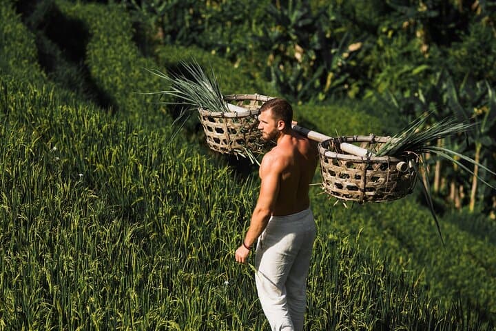 Ultimate Ubud Private Day Tour: Monkey Forest, Tegalalang Rice Terraces & Sacred Temples