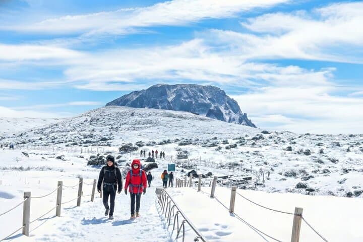 Explore South-West Jeju: Hallasan Views, Basalt Cliffs & Tangerine Farm Tour photo 5