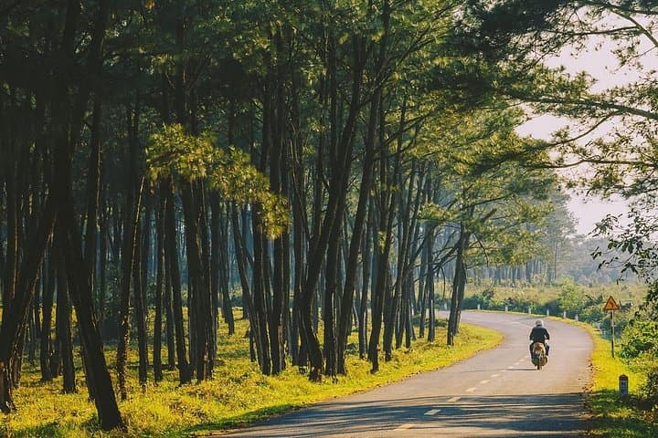 Ride Quang Binh: Full-Day Countryside Motorbike Adventure from Dong Hoi photo 3