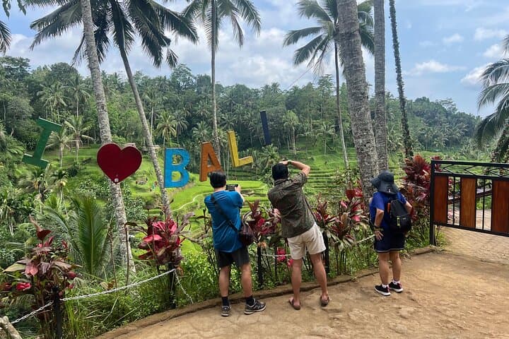 Bali Private Driver & Tour Guide — Custom Full-Day Island Tours