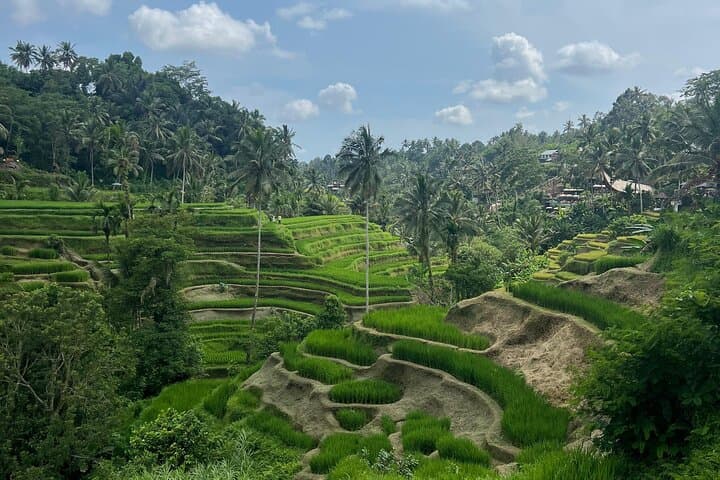 Bali Private Driver & Tour Guide — Custom Full-Day Island Tours photo 2