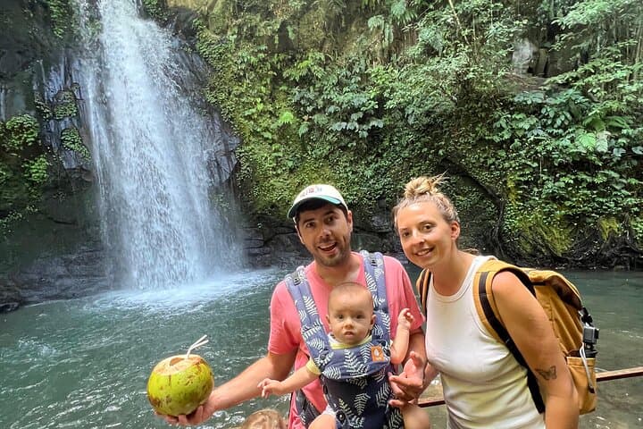 Bali Private Driver & Tour Guide — Custom Full-Day Island Tours photo 4