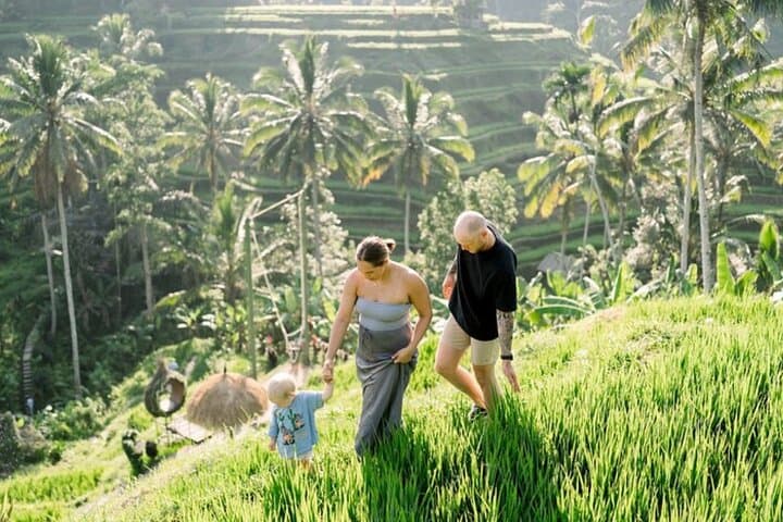 Ubud Adventure: Private All-Inclusive Day Tour to Monkey Forest, Tegalalang & Tirta Empul