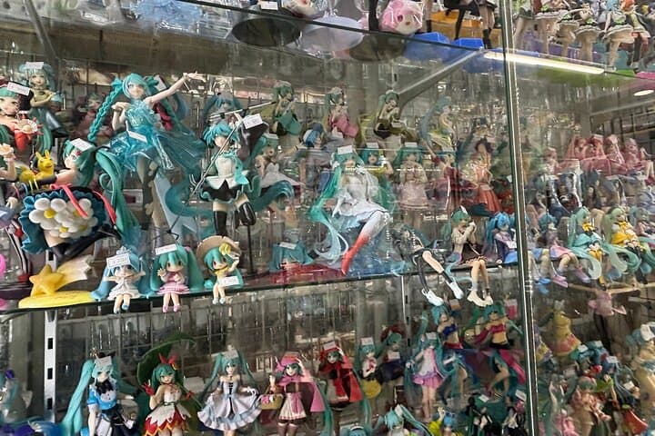 Akihabara Otaku Culture Tour: Anime, Arcades & Maid Café Experience photo 1