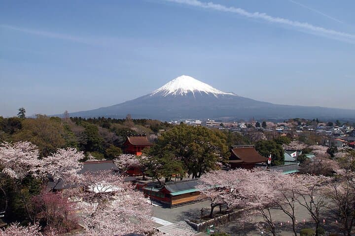 Mt Fuji Day Trip by Shinkansen & Private Car: Tea Fields, Shrine & Strawberry Picking photo 6