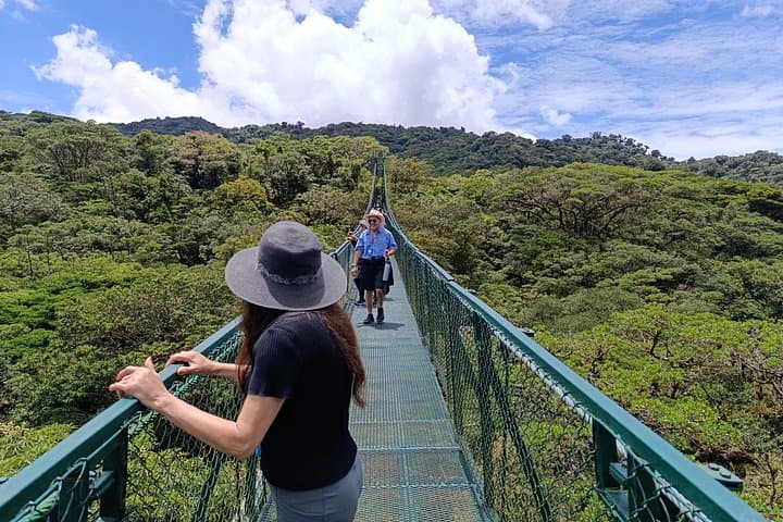 Monteverde Suspension Bridges Private Tour: Treetopia Canopy Walk in Costa Rica photo 1