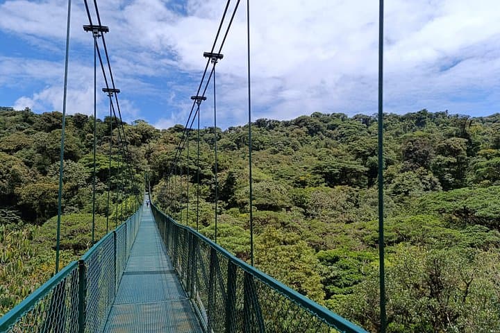 Monteverde Suspension Bridges Private Tour: Treetopia Canopy Walk in Costa Rica photo 3