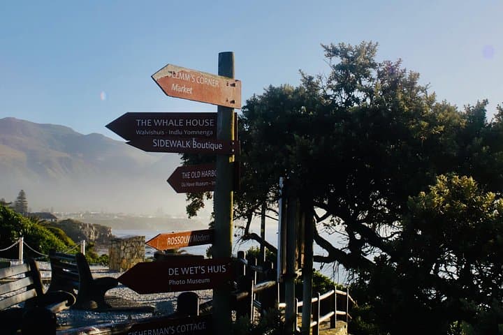 Hermanus Cliff Walk History Tour: Whale-Watching & Fynbos Stories photo 2