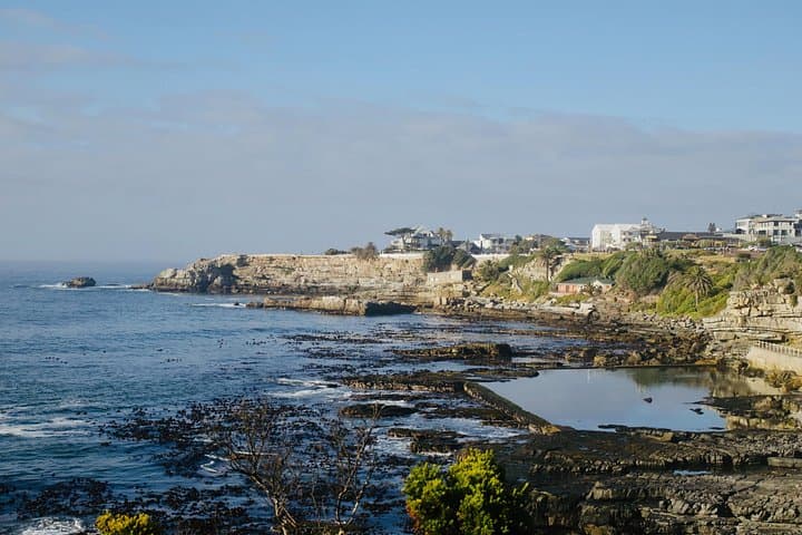 Hermanus Cliff Walk History Tour: Whale-Watching & Fynbos Stories photo 3