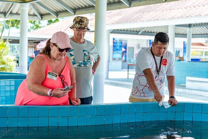 Khao Lak Eco Safari: Ethical Elephant Sanctuary, Waterfall Swim & Sea Turtle Conservation photo 5