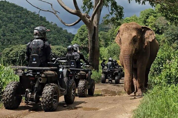 Chiang Mai Sticky Waterfall ATV and Zipline: 8-Hour Jungle, Canopy, and Limestone Climb photo 1