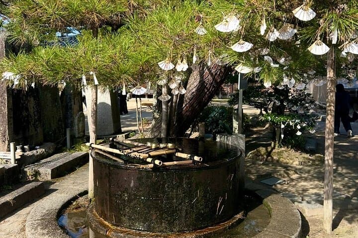 Kyoto Private Car Tour to Amanohashidate, Arashiyama & Ine Bay — Full-Day English-Guided Drive photo 5