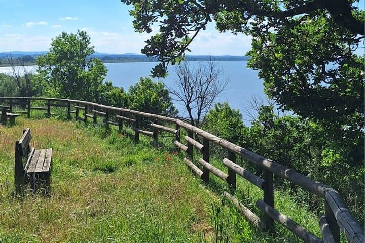 Lake Trasimeno Trekking Tour: Panicale Loop to Magione (12 km) photo 4