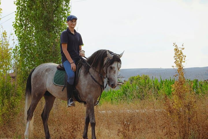 Sunset Horseback Ride on Mount Vesuvius with Countryside BBQ photo 6