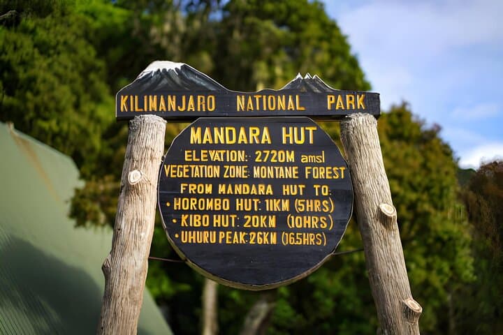 Kilimanjaro Day Hike: One-Day Minivan Private Tour to the Rainforest Foothills photo 6