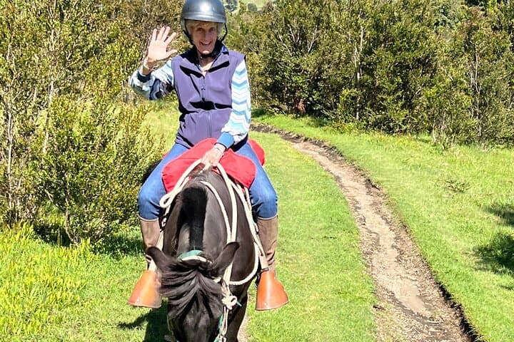 Esperanza Valley Horse Ride: Full-Day Horses of the Reloncaví Estuary photo 5