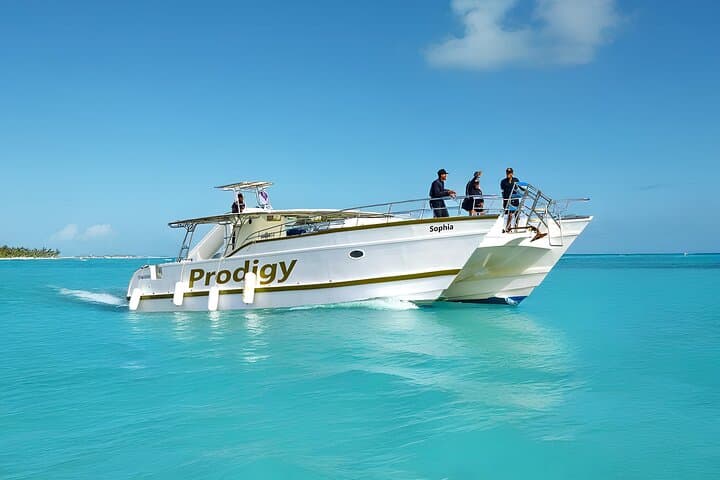 Private Catamaran Cruise from Bávaro: Snorkel, BBQ & Natural Pool Experience