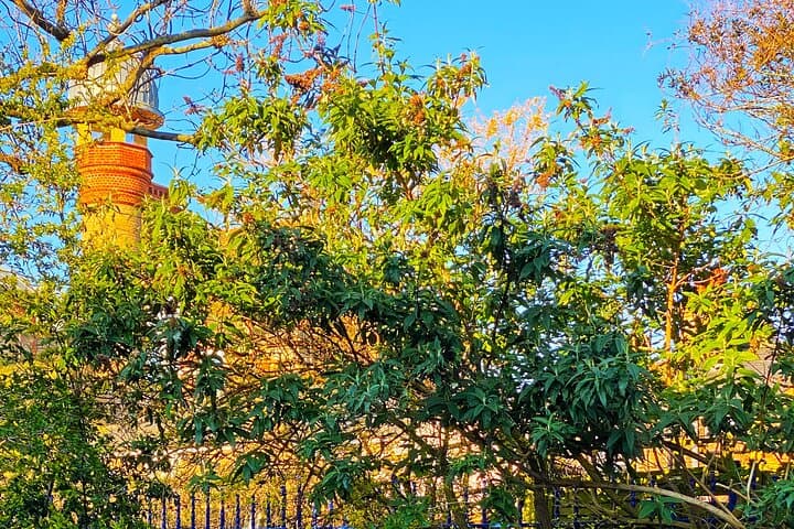 Peckham Discovery Walk: Arty Adventure & Multicultural Mystery in London photo 6
