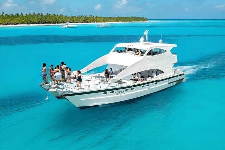 Private Catamaran to Isla Saona & Palmilla — Punta Cana Full-Day Charter