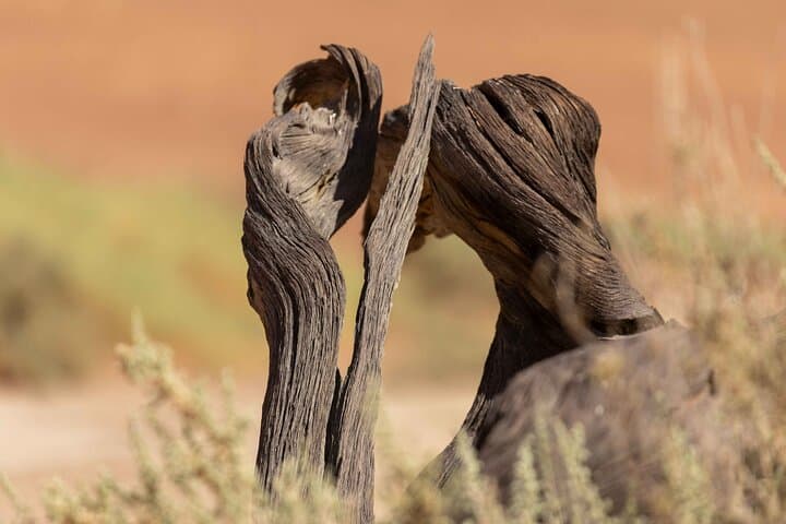 3-Day Sossusvlei Desert Tour: Sunrise Dunes, Dead Vlei & Sesriem Canyon photo 3