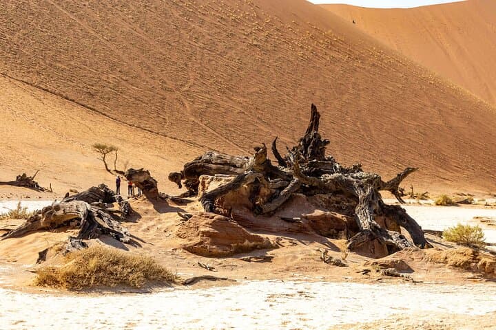 3-Day Sossusvlei Desert Tour: Sunrise Dunes, Dead Vlei & Sesriem Canyon photo 4