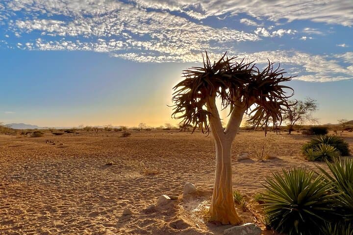 3-Day Sossusvlei Desert Tour: Sunrise Dunes, Dead Vlei & Sesriem Canyon photo 5
