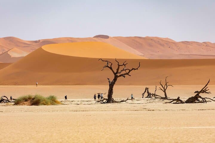 3-Day Sossusvlei Desert Tour: Sunrise Dunes, Dead Vlei & Sesriem Canyon