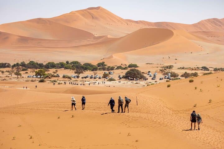 3-Day Sossusvlei Desert Tour: Sunrise Dunes, Dead Vlei & Sesriem Canyon photo 6
