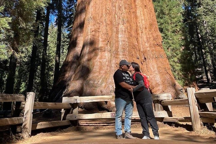 Day Trip to Sequoia & Kings Canyon: General Sherman, Moro Rock & Tunnel Log photo 2