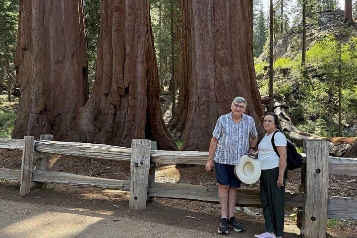 Day Trip to Sequoia & Kings Canyon: General Sherman, Moro Rock & Tunnel Log photo 3