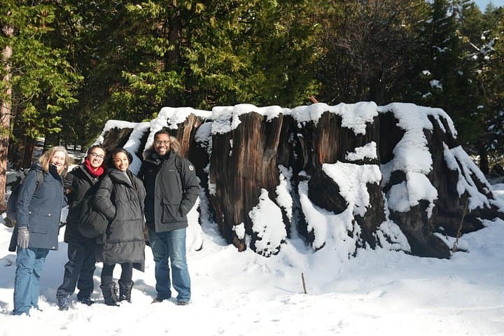 Day Trip to Sequoia & Kings Canyon: General Sherman, Moro Rock & Tunnel Log photo 1